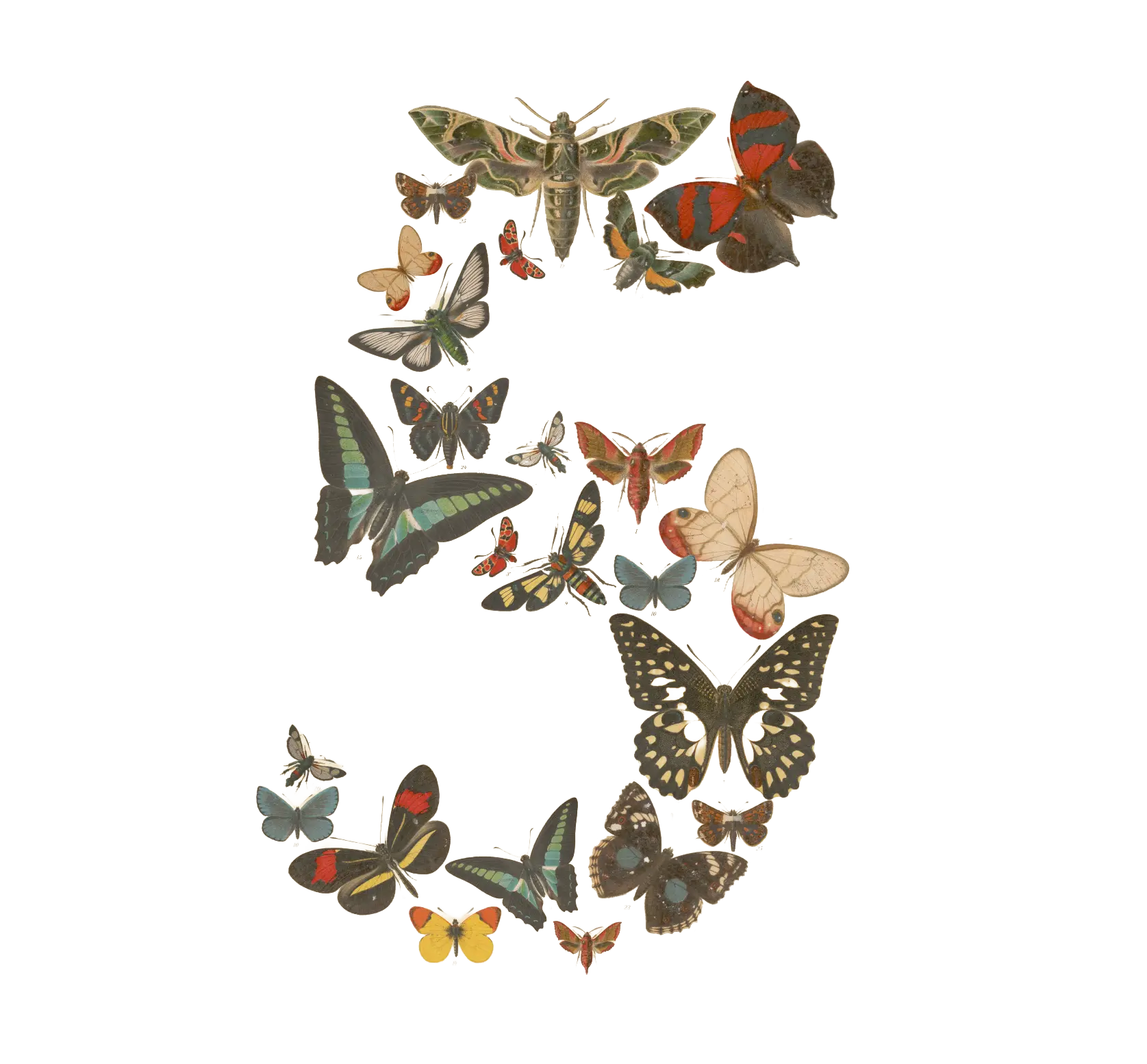 Un número cinco formado por mariposas de lámina naturalista, arte del lanzamiento de Claude Fable 5